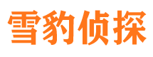 佳木斯市场调查